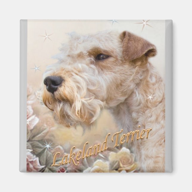 Imã Lakeland Terrier Entre Rosa ímã (Frente)