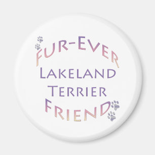 Imã Lakeland Terrier Fuore