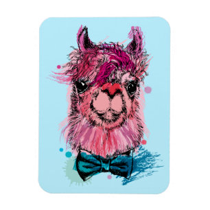 Ímã Lama cor-de-rosa bonito