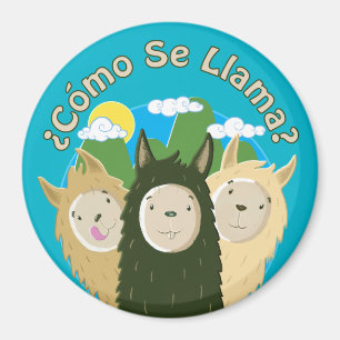 Imã Lama do SE de Como?