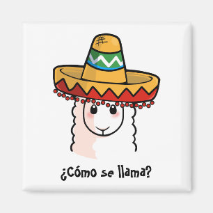 Imã Lama do SE de Como do ¿?