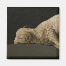 Imã Lamb de Deus (Agnus Dei) (Animais Sacrificados)