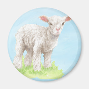 Imã Lamb Magnet