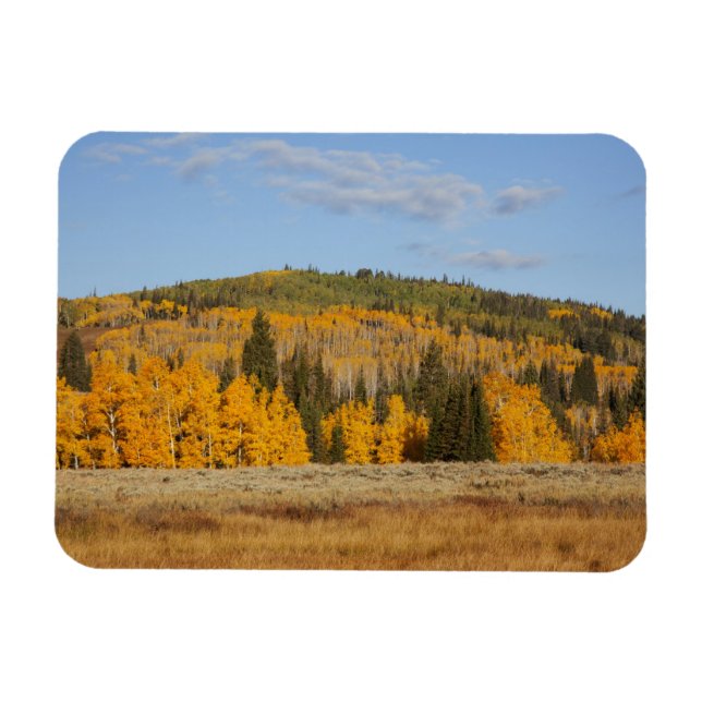 Ímã Lambert Hollow, árvores de álamo (Horizontal)