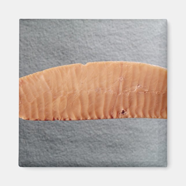 Imã Lâmina de faca (Frente)