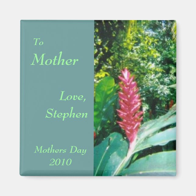 Imã Lâmina jamaicana (Frente)