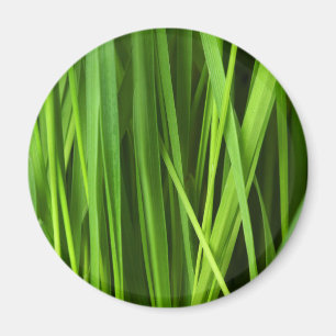 Imã Lâminas de grama