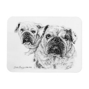 Ímã Lâmpada flexível dos Divas Baldes!