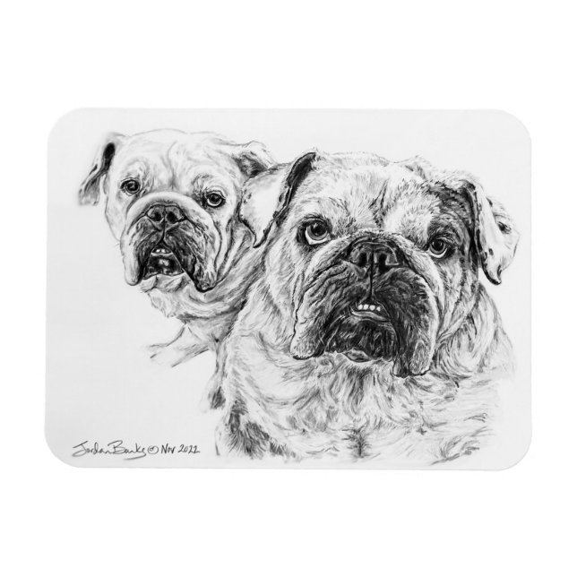 Ímã Lâmpada flexível dos Divas Baldes! (Horizontal)