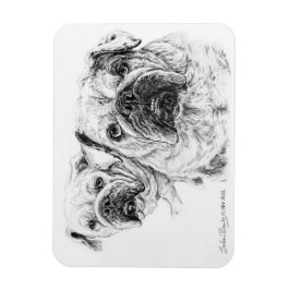 Ímã Lâmpada flexível dos Divas Baldes!