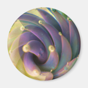 Imã Lampwork Boro Glass Sea Pastel Lotus Bubble Magnet