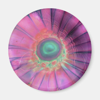 Imã Lampwork Glass Daisy Vazio Trippy Magnet