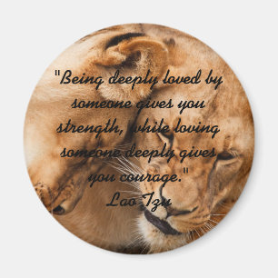 Imã Lao Tzu Love Cote & Lions Magnet