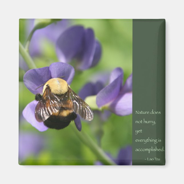 Imã Lao Tzu Palavras de Sabedoria (Frente)