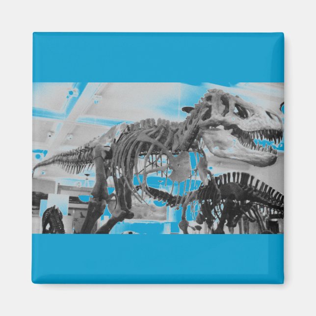 Imã Lápis de Esqueleto T-Rex (Frente)