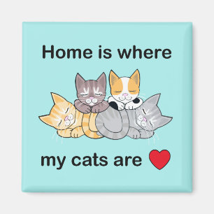 Imã Lar é onde meus gatos são turquesas de íman