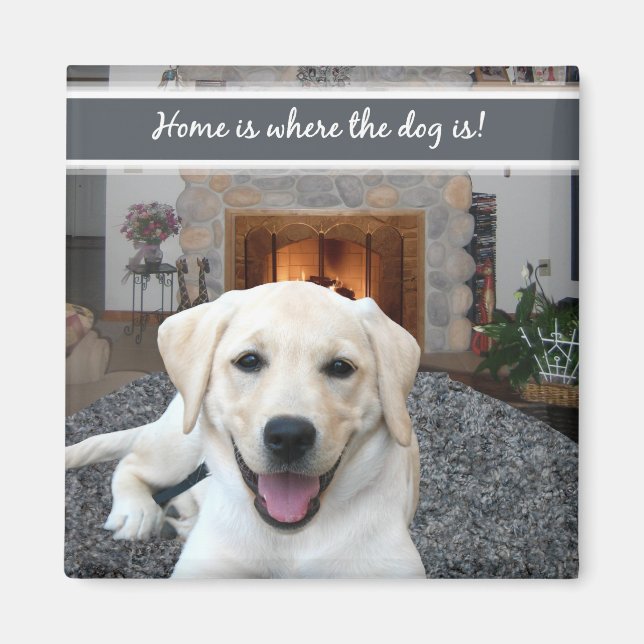 Imã Lar é onde o cão está (Frente)