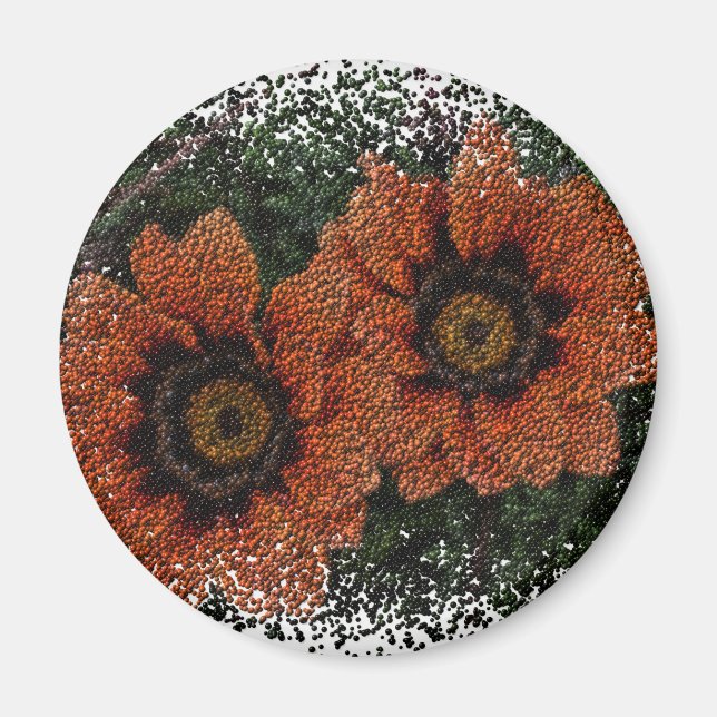Imã Laranja Daisy Balls Round Magnet (Frente)