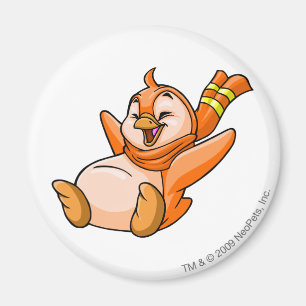 Imã Laranja de Bruce