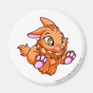 Imã Laranja de Cybunny