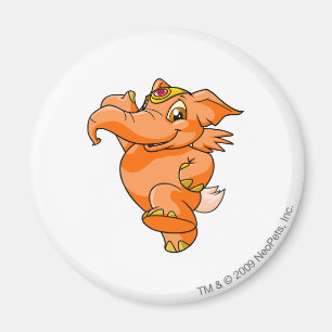 Imã Laranja de Elephante