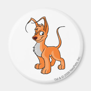 Imã Laranja de Gelert