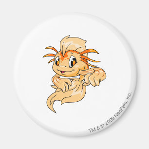 Imã Laranja de Koi