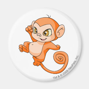 Imã Laranja de Mynci