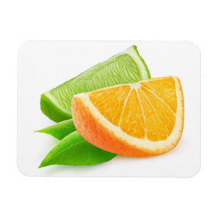 Ímã Laranja e limão