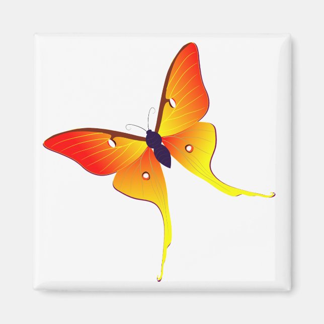 Imã Laranja Flame Butterfly Magnet Quadrado (Frente)