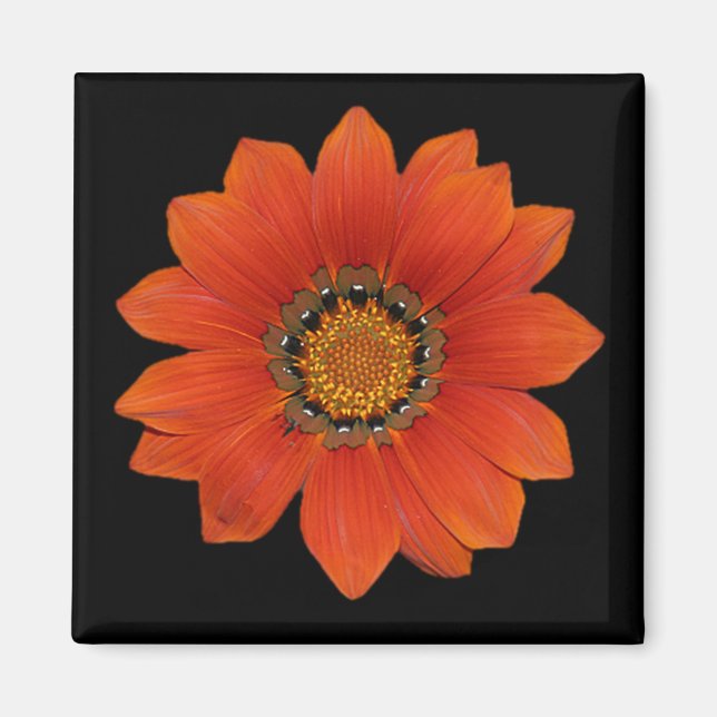 Imã Laranja Flor 2 Magneto (Frente)