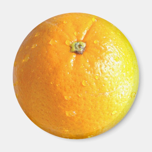 Imã Laranja Magnet 02 (Frente)