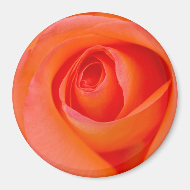 Imã Laranja Maravilhosa Rosa Broto (Frente)