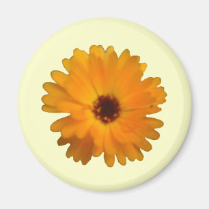 Imã Laranja Marigold Magnet