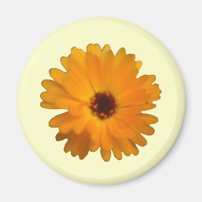Imã Laranja Marigold Magnet (Frente)