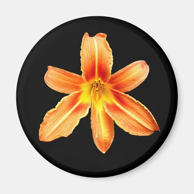 Imã Laranja Tiger Lily Magnet (Frente)