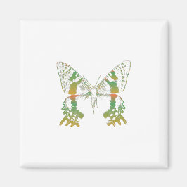 Imã Laranja Verde-Mama Inseto