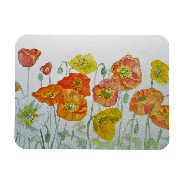 Ímã Laranja Vermelho Poppies Aquarela Magneta (Horizontal)