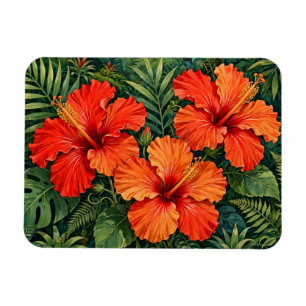 Ímã Laranjas Luxuriantes Hibisco Flores Tropicais da S