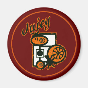 Imã Laranjas suculentas