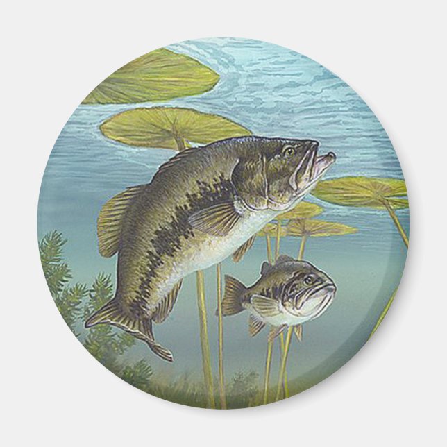 Imã Largemouth Bass (Frente)