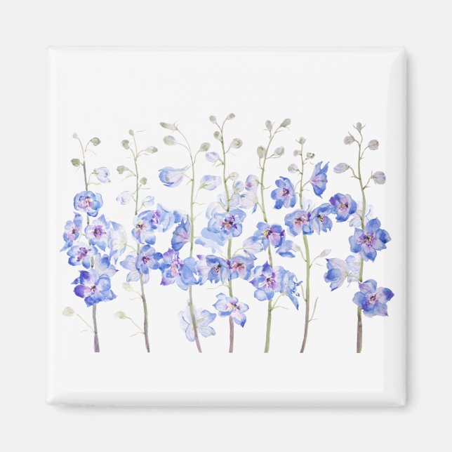 Imã larkspur (Frente)