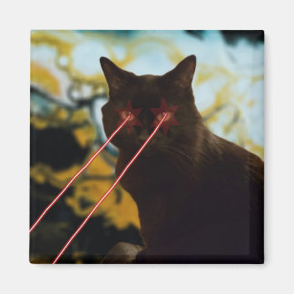 Imã Laser Cat Magnet
