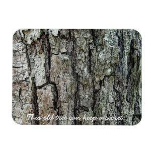 Ímã Latido Esta Árvore Antiga Pode Manter Um Segredo