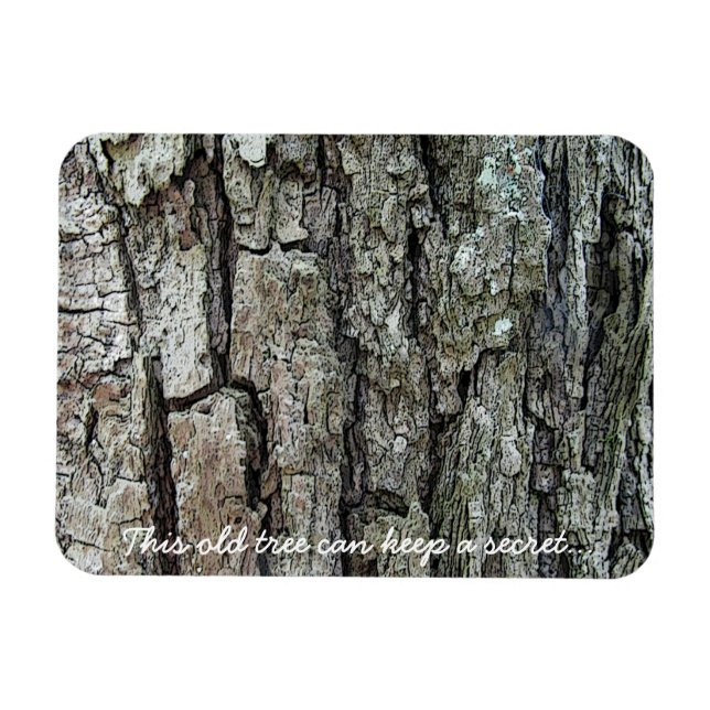 Ímã Latido Esta Árvore Antiga Pode Manter Um Segredo (Horizontal)