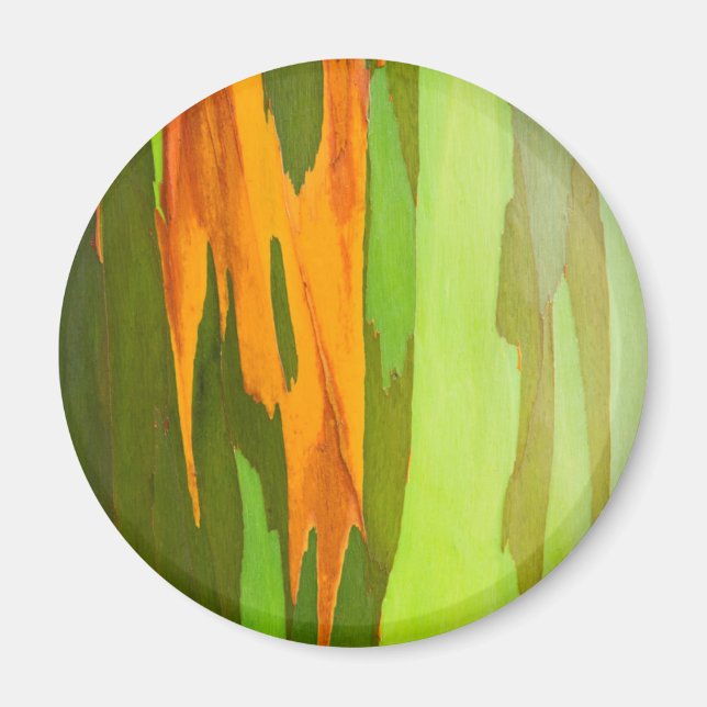 Imã Latido Rainbow Eucalyptus, Havaí (Frente)