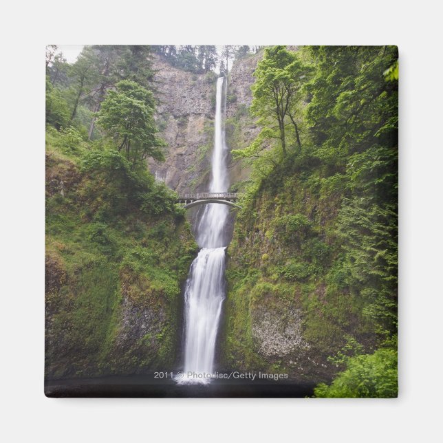 Imã Latourell Falls & Bridge Rio Columbia Gorge (Frente)