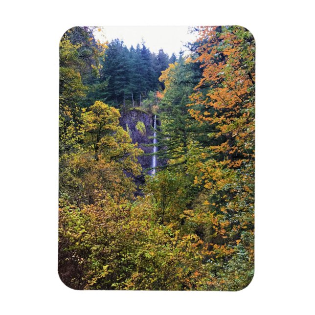 Ímã Latourell Falls, Columbia River Gorge, Oregon (Vertical)