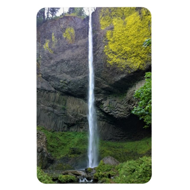 Ímã Latourell Falls, Oregon (Vertical)