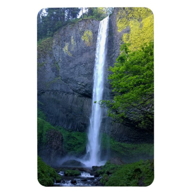 Ímã Latourell Falls, Oregon (Vertical)